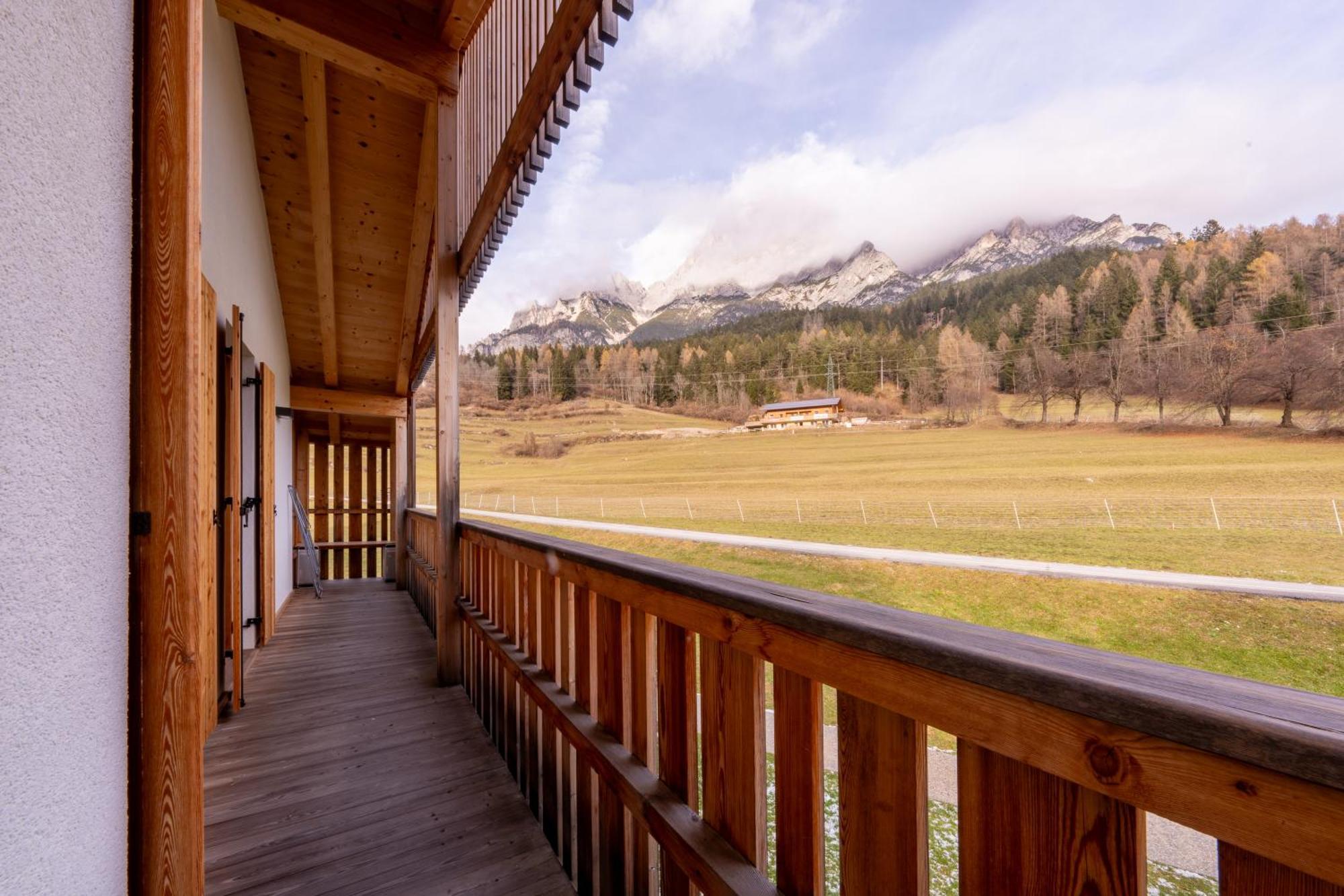 Greenwood Chalet - Spacious Alpine Retreat With Mountain Views Vodo Cadore Buitenkant foto